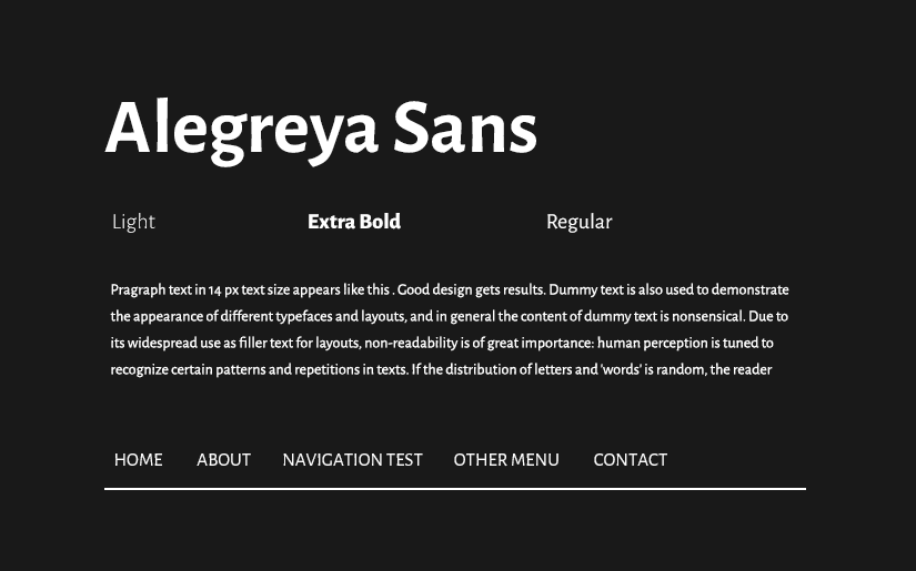 popular google web fonts