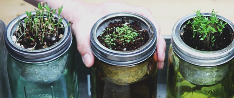 garden ecommerce products