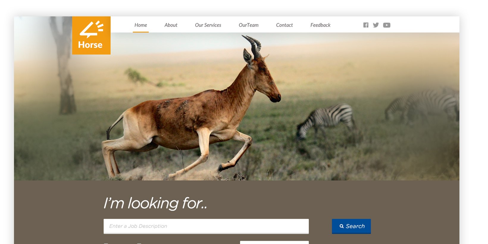 web design trend