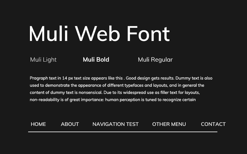 google web fonts