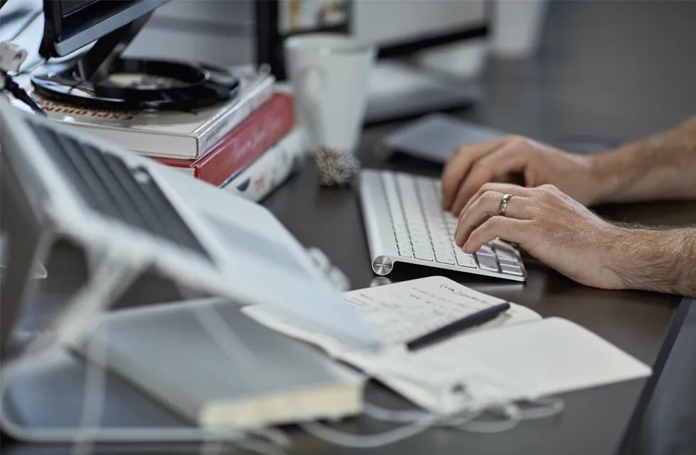 wordpress development work
