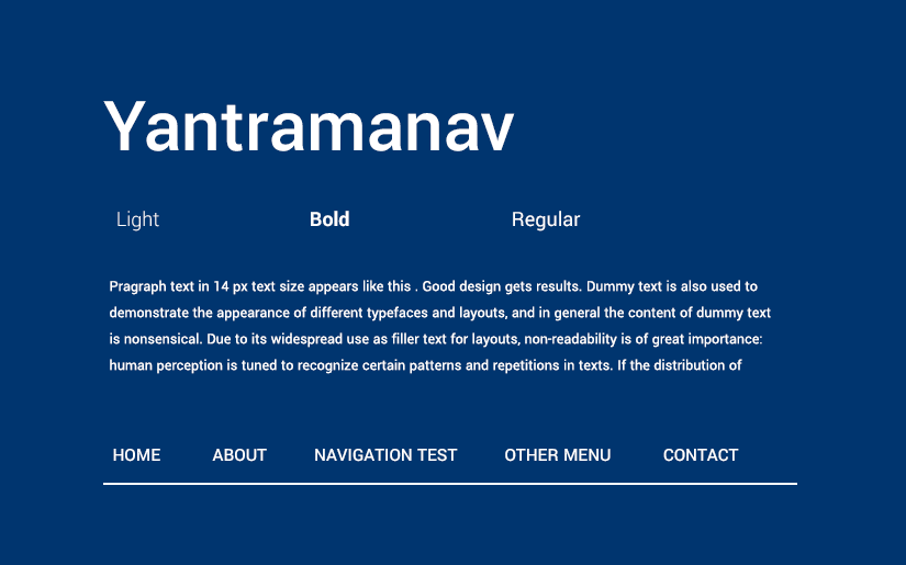 web fonts