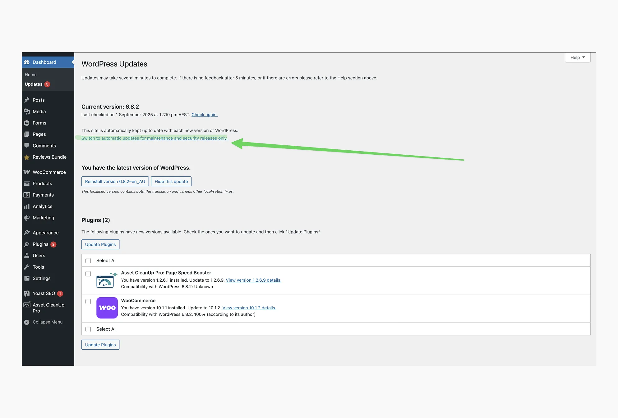 WordPress Auto Update Not Working? Troubleshoot Here